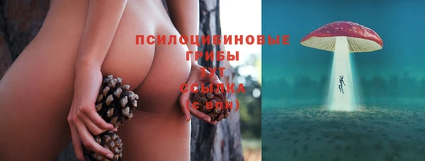 спайс Аркадак