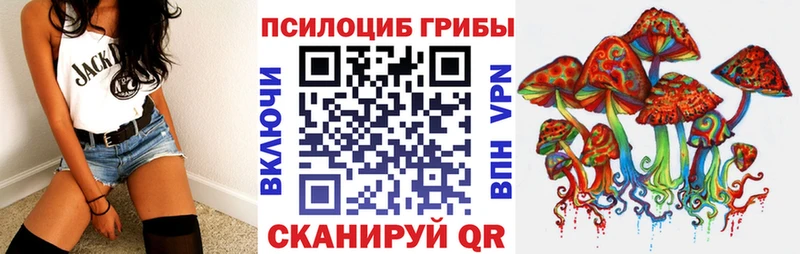 kraken рабочий сайт  Семёнов  darknet Telegram  где можно купить наркотик  Галлюциногенные грибы мицелий 